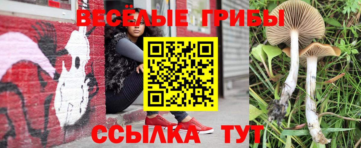 Псилоцибиновые грибы MAGIC MUSHROOMS  Вход с VPN  Псилоцибиновые грибы Magic Shrooms  Заводоуковск 